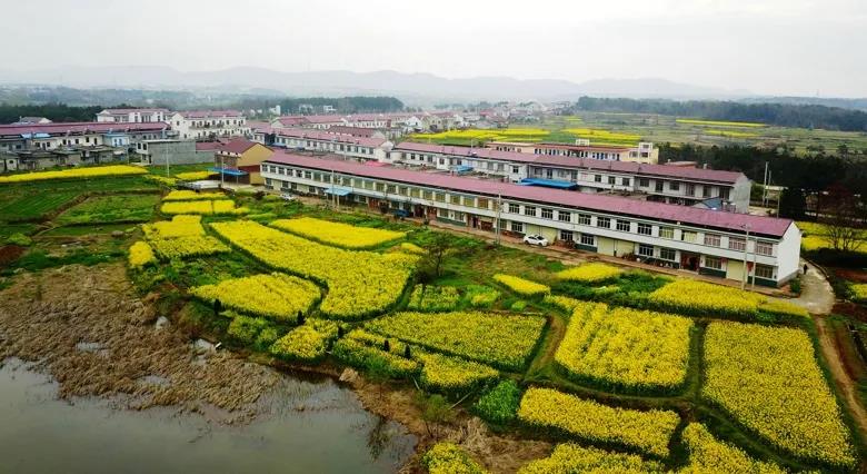 2020111308364415_wuIEQZzQ.jpg