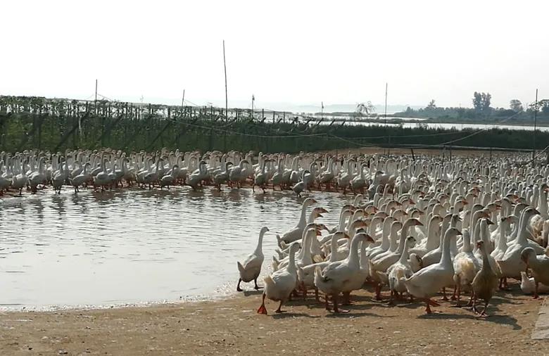 2020111611300094_Akh7DATF.jpg