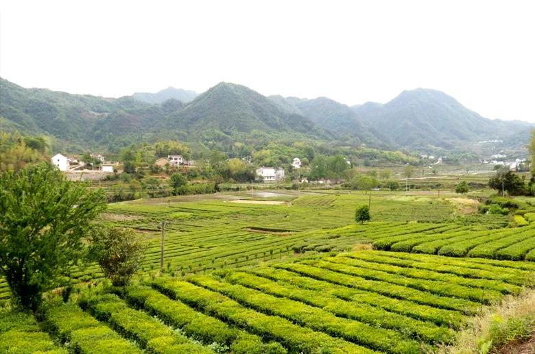 2020111611300195_jEF6xIYi.jpg