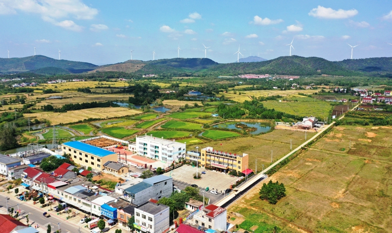 20201205174929353_zKKRoHBi.jpg