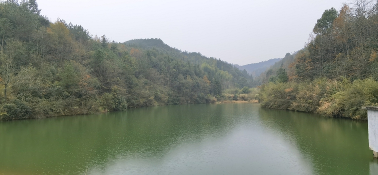 20201208150655418_lqQxWpmG.jpg