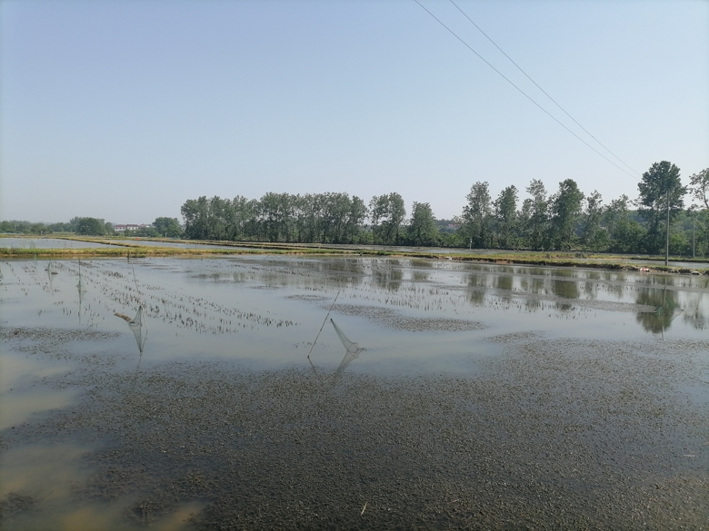 20210527163322997_Oez68IUc.jpg