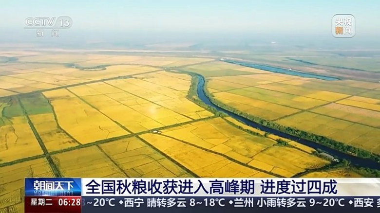 20241008085118275_nvZlDinr.jpg