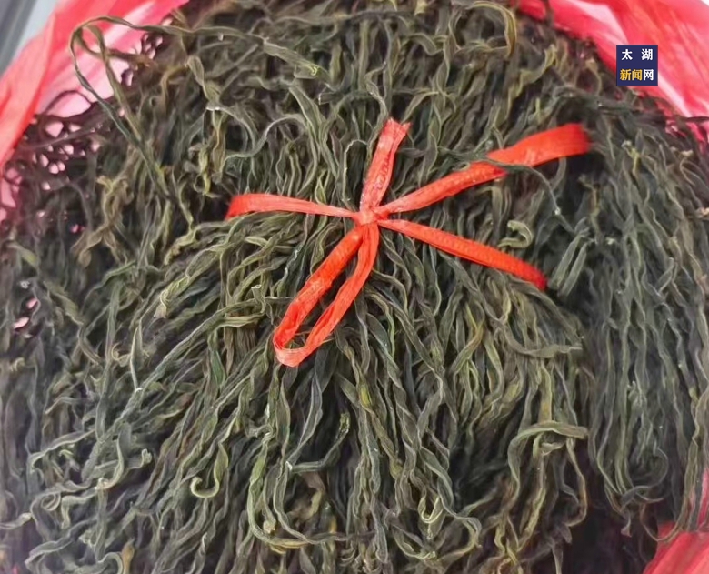 20260917085113198_yuXen0Ao.jpg