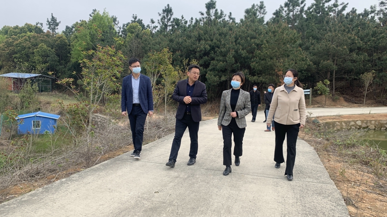 吴海宏深入小池,江塘督导调研-太湖新闻网